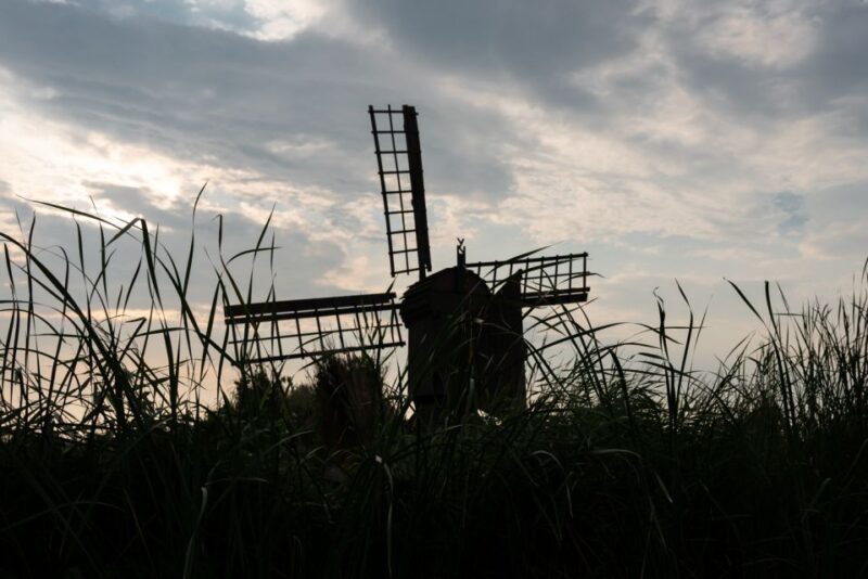 Amsterdam: 2-Hour Guided Canoe Trip - Relaxing in the Guide’s Garden After the Tour