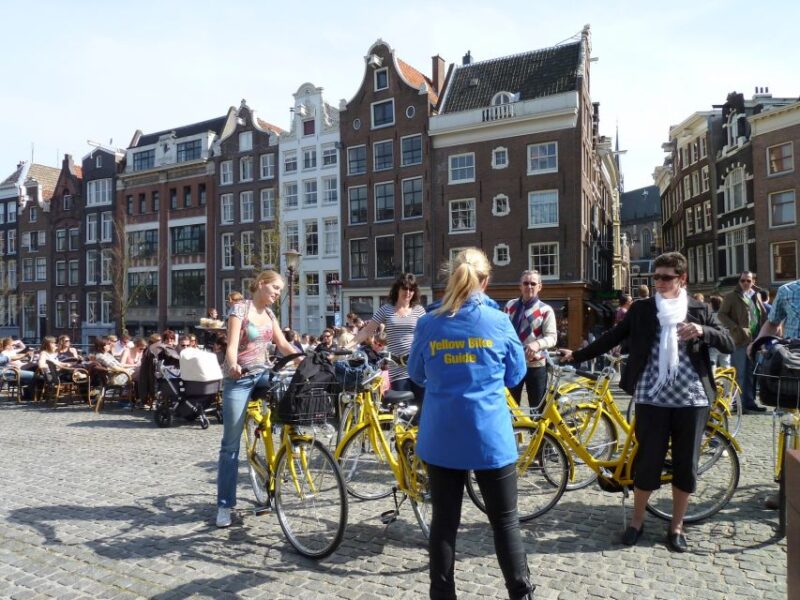 Amsterdam: 3h E-Bike Tour with break - Practical Details: Pacing, Weather, and Group Size
