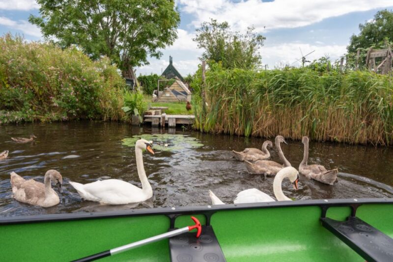 Amsterdam 5-Hour Guided Canoe Trip in the Wetlands - The island picnic with regional treats