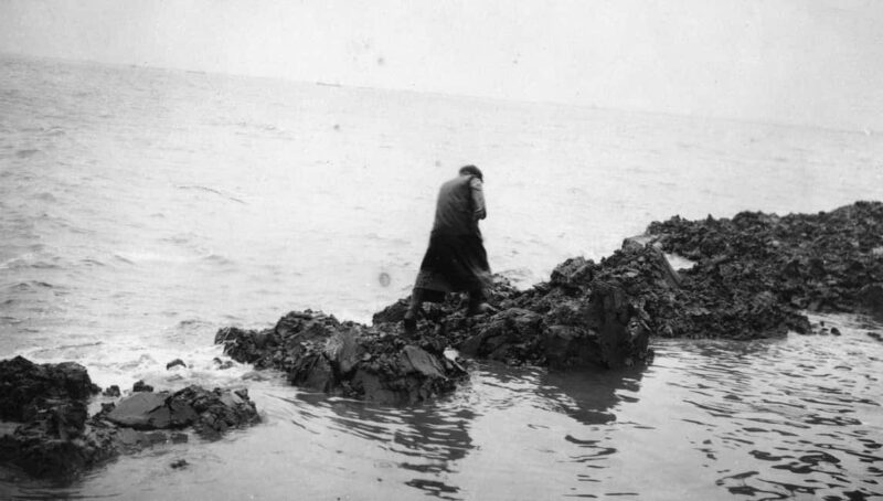 Amsterdam: Afsluitdijk and Wadden Center Museum Private Tour - Practical Details and Booking Flexibility