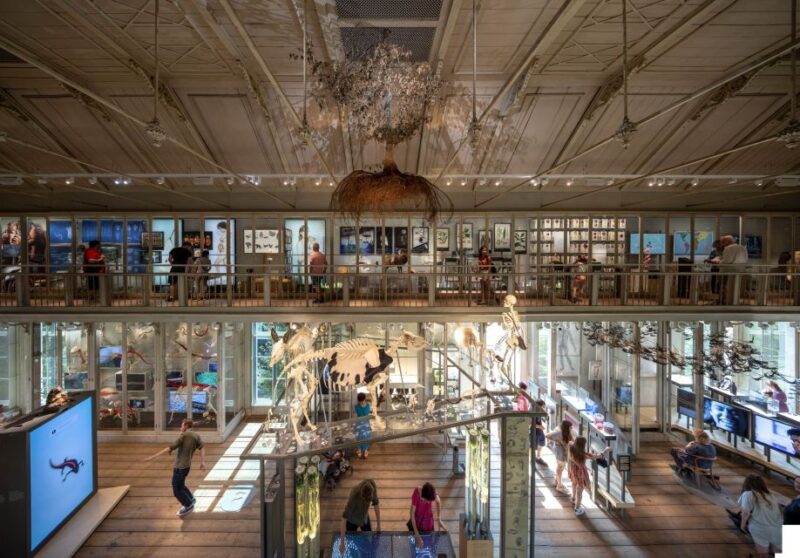 Amsterdam: ARTIS-Groote Museum Entry Ticket - Discover the "Unearthed" Soil Exhibition in Amsterdam