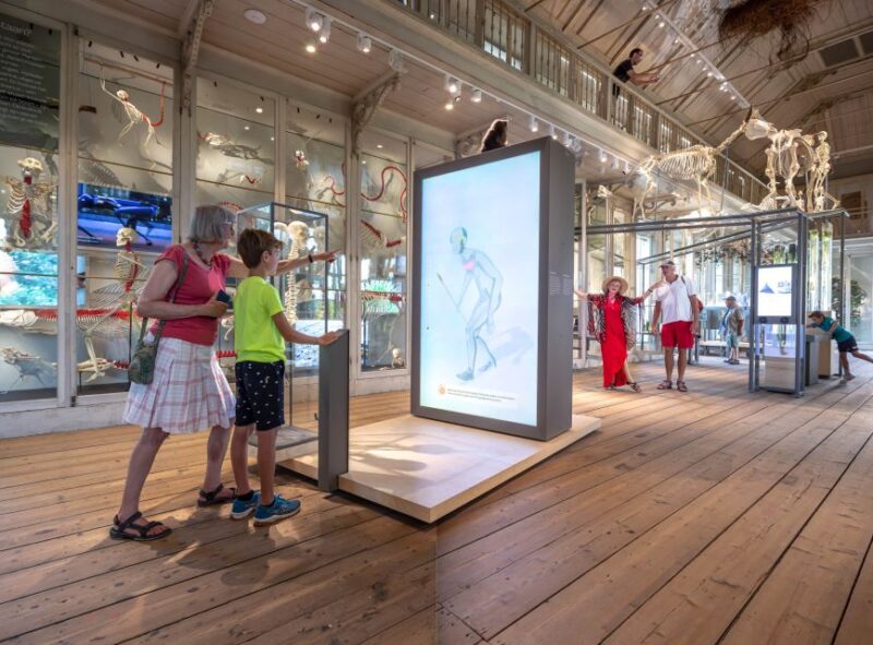 Amsterdam: ARTIS-Groote Museum Entry Ticket - The Museums Architectural Charm and Historical Significance