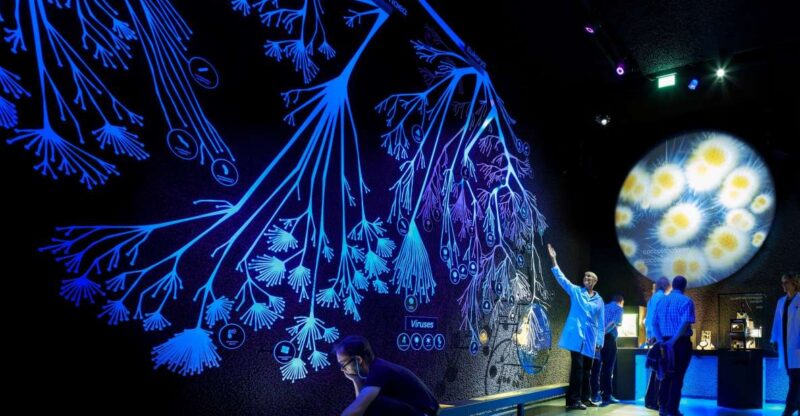 Amsterdam: ARTIS-Micropia Microbe Museum Entry Ticket - Why ARTIS-Micropia Stands Out