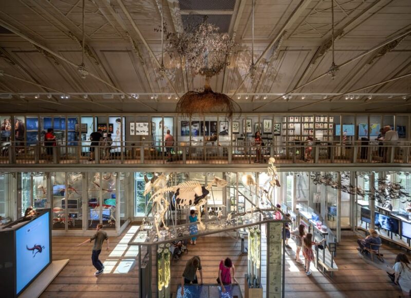 Amsterdam: ARTIS Royal Zoo and ARTIS Groote Museum Ticket - Frequently Asked Questions