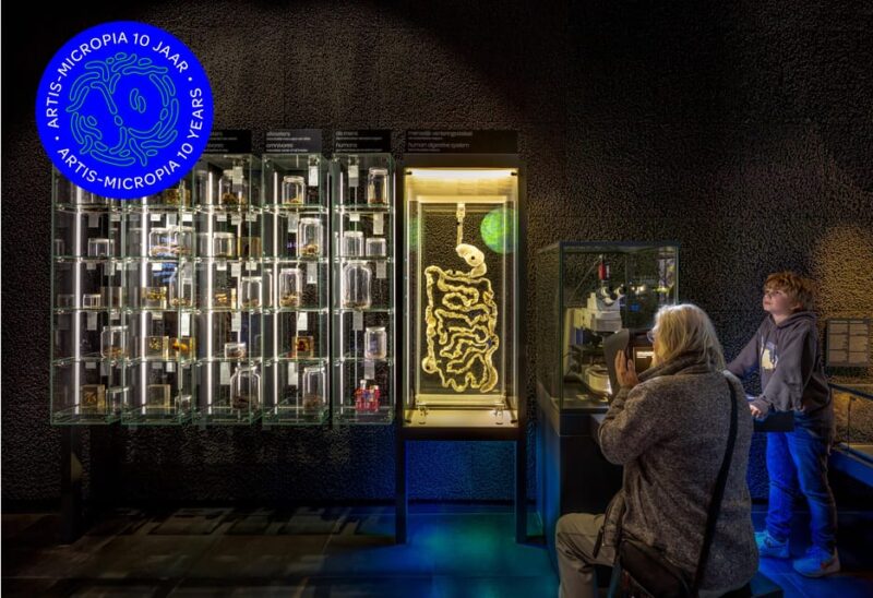 Amsterdam: Artis Royal Zoo & ARTIS-Micropia Combo Ticket - Practical Details and Accessibility