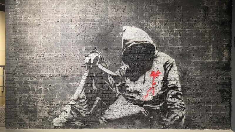 Amsterdam: Banksy Museum Entry Ticket - The Experience of Viewing Over 160 Works