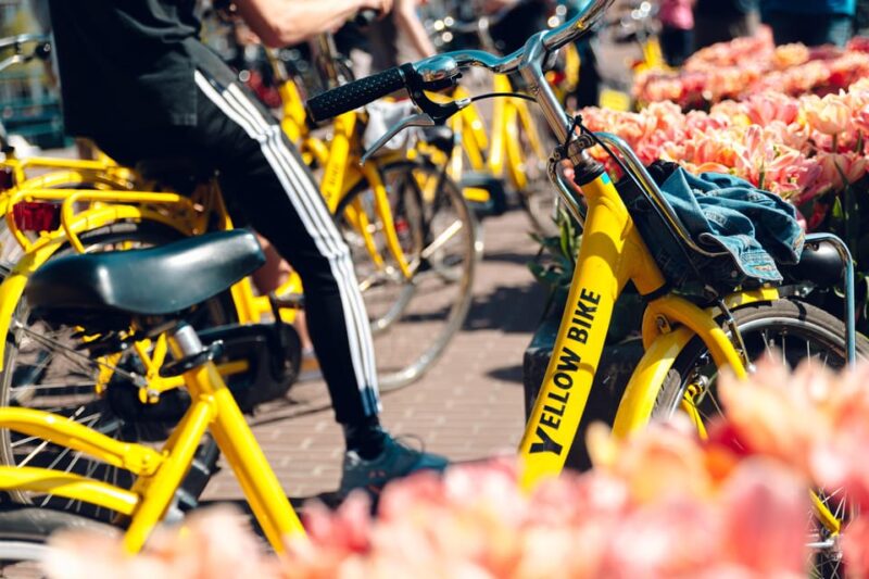 Amsterdam: Bike Rental - How to Book and What’s Included