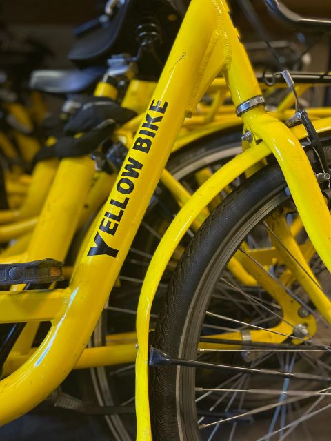 Amsterdam: Bike Rental - Who Will Love This Bike Rental?