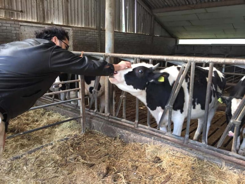 Amsterdam:: Bike Rental with Free Self-Guided Tour App - Who Would Enjoy This Bike Rental Tour Most?