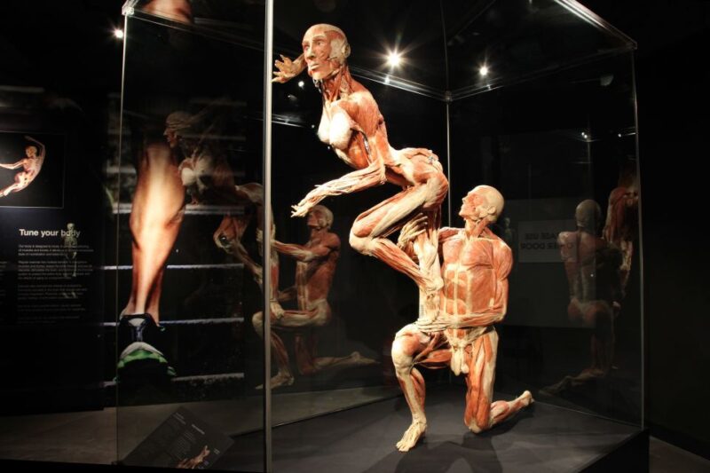 Amsterdam: Body Worlds Exhibition and Canal Cruise - Booking the Canal Cruise: How to Secure Your Time Slot