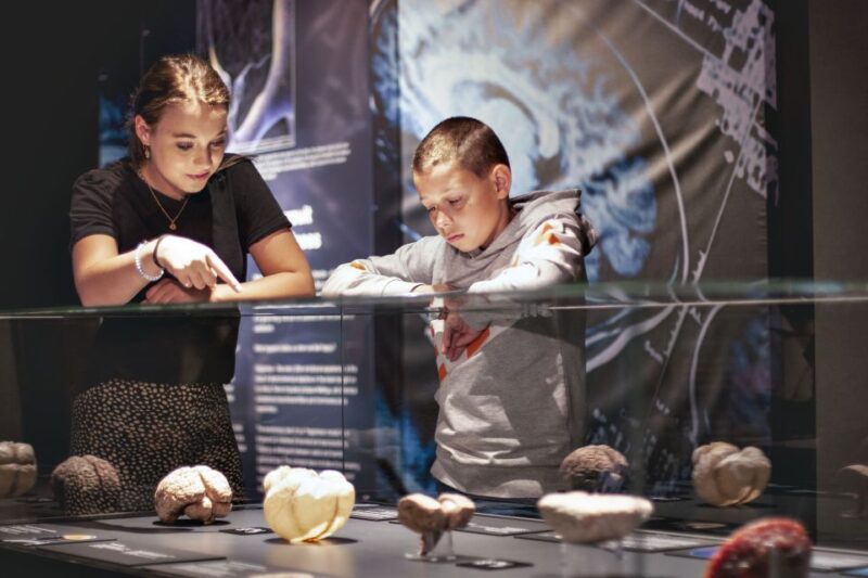 Amsterdam: Body Worlds Exhibition and Canal Cruise - Practical Details: Meeting Points and Booking