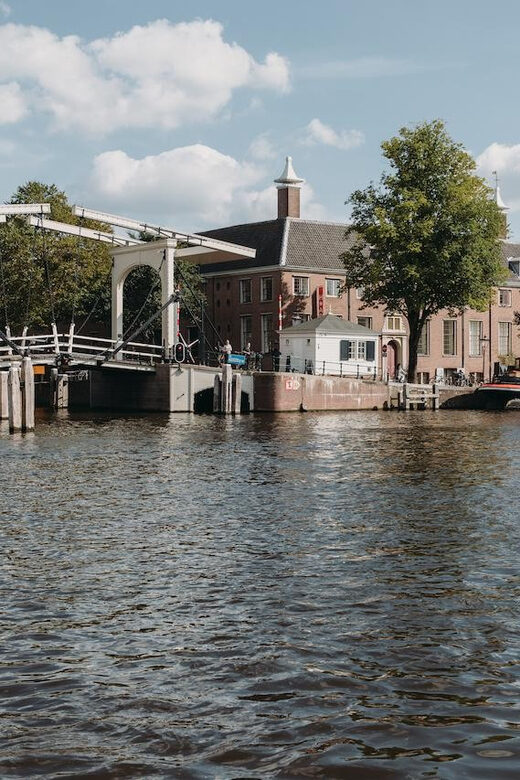 Amsterdam: Brancusi at H'ART Museum Entry Ticket - The Artistic Highlights: Beyond Brancusi