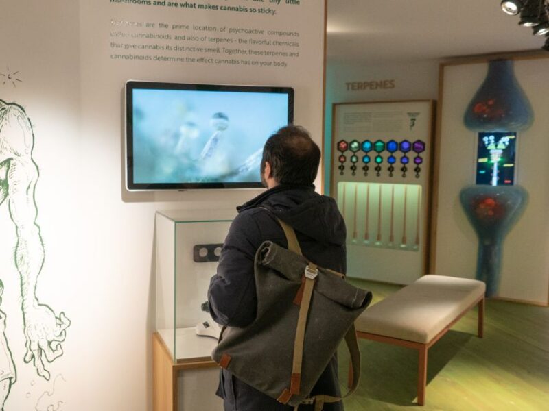 Amsterdam: Cannabis Museum Entry Ticket - Key Points