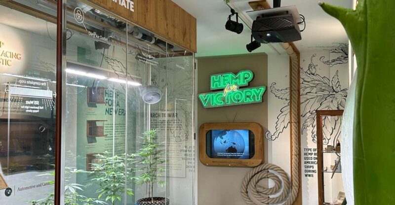 Amsterdam: Cannabis Museum Entry Ticket - The Three Floors of the Cannabis Museum