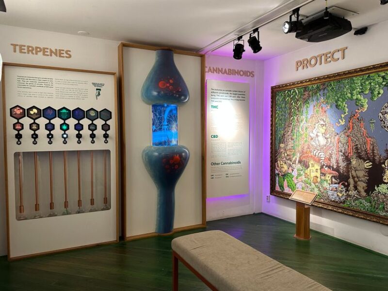 Amsterdam: Cannabis Museum Entry Ticket - Hands-On Experience and Equipment