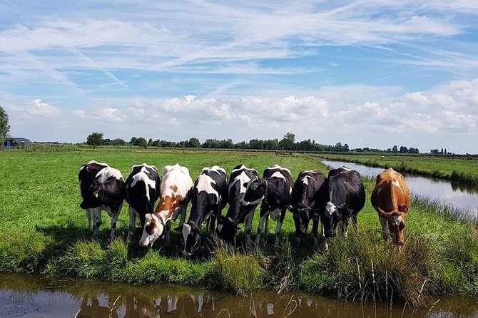 Amsterdam City & Countryside Tour: The Best of both Worlds - Practical Details and Booking Insights