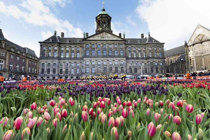 Amsterdam City Private Tour & Canal Cruise - Viewing Art and History from the Vehicle