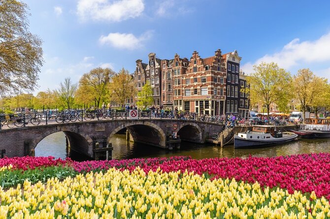 Amsterdam City to Schiphol Airport Transfer - Limitations and Considerations