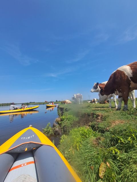 Amsterdam: Countryside Bike and Kayak Guided Tour - Kayaking Along Tranquil Waterways for Two Hours