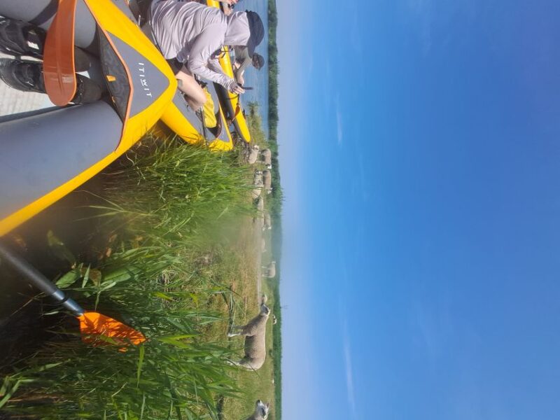 Amsterdam: Countryside Bike and Kayak Guided Tour - Enjoying a Break and Local Sightseeing