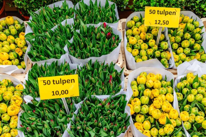 Amsterdam: Dam Square & Flower Market Walking Tour - What You See at Dam Square and Around