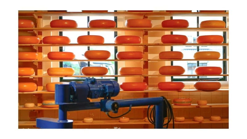 Amsterdam Day Tour: Zaanse Schans, Volendam & Marken - Clocks, Wooden Shoes, and Craftsmanship at the Clog Workshop