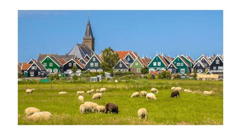 Amsterdam Day Tour: Zaanse Schans, Volendam & Marken - Logistical Details and Group Experience