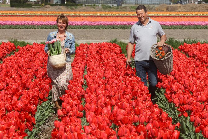 Amsterdam: Day trip to Tulip Farm, Keukenhof + Windmill Cruise - A Personal Touch at De Tulperij Tulip Farm