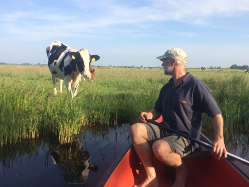 Amsterdam: Dutch Countryside Sunset Canoe Tour - Paddle Past Farms, Mills, and Grazing Animals