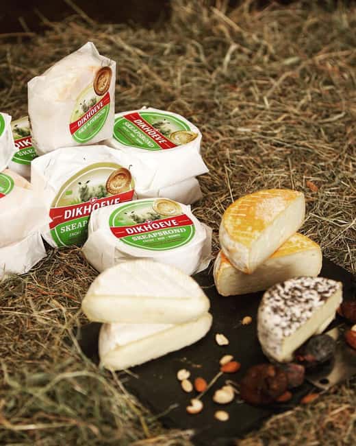 Amsterdam: E-Bike, Cheese, Windmill & Countryside Tour - Crossing the IJ River with a Scenic Ferry Ride