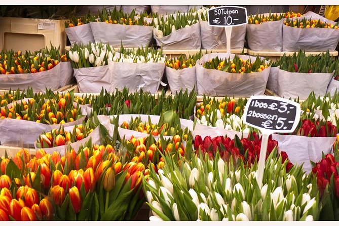 Amsterdam: E-Bike Sightseeing Tour - Prinseneiland and the Palmentuins Charm