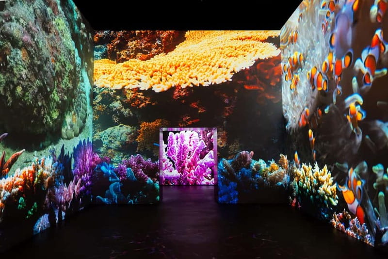 Amsterdam: Fabrique des Lumières The Sea Entry Ticket - The "The Sea" Exhibition: A Deep Dive into the Ocean’s Wonders