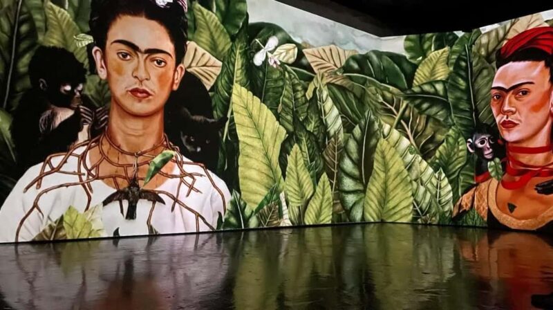 Amsterdam: Frida Kahlo Immersive & Photo Exhibition - Key Points