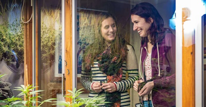 Amsterdam: Hash, Marihuana, and Hemp Museum Entry Ticket - Key Points