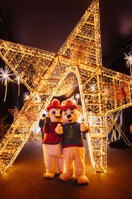 Amsterdam: Het Amsterdamse Winterparadijs Entry Ticket - Limitations and Considerations Based on Reviews