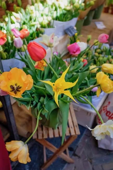 Amsterdam: Hidden Gems Sightseeing & Tasting Tour+PDF Guide - Practical Details and Logistics for the Tour