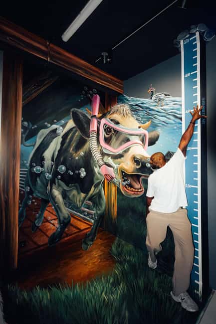 Amsterdam: Highlights of Holland Entry Ticket - Practical Information for Visitors