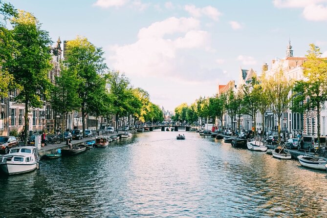 Amsterdam Highlights Walking Tour - Exploring Dam Square and the Royal Palace