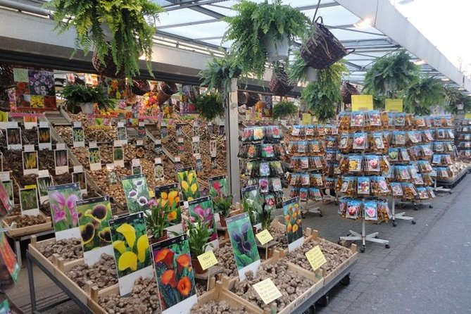 Amsterdam Introduction Tour with a Private Guide - Exploring Jordaan and Its Unique Charm