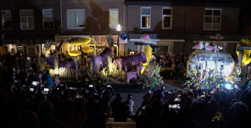 Amsterdam: Keukenhof and Illuminated Flower Parade Tour - Practical Details and Flexibility