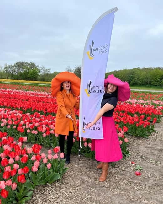 Amsterdam: Keukenhof and Tulip Fields Private Day Trip - Why This Tour Stands Out