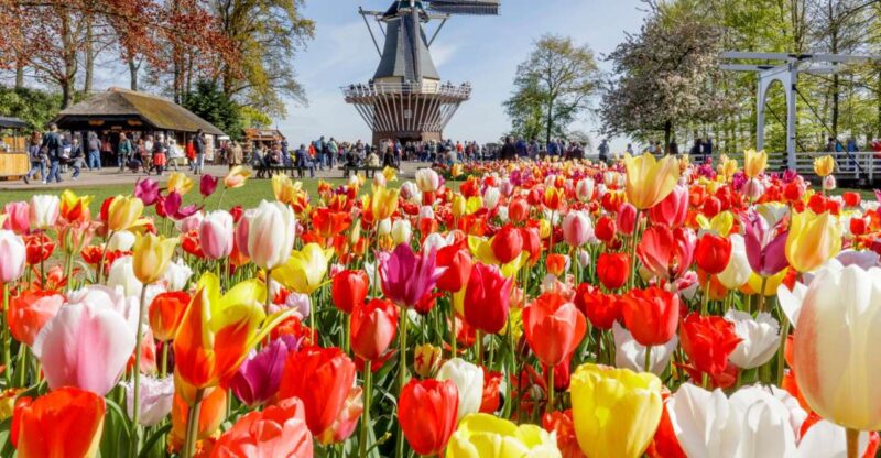 Amsterdam: Keukenhof and Zaanse Schans Live Guided Day Tour - Additional Activities and Optional Upgrades