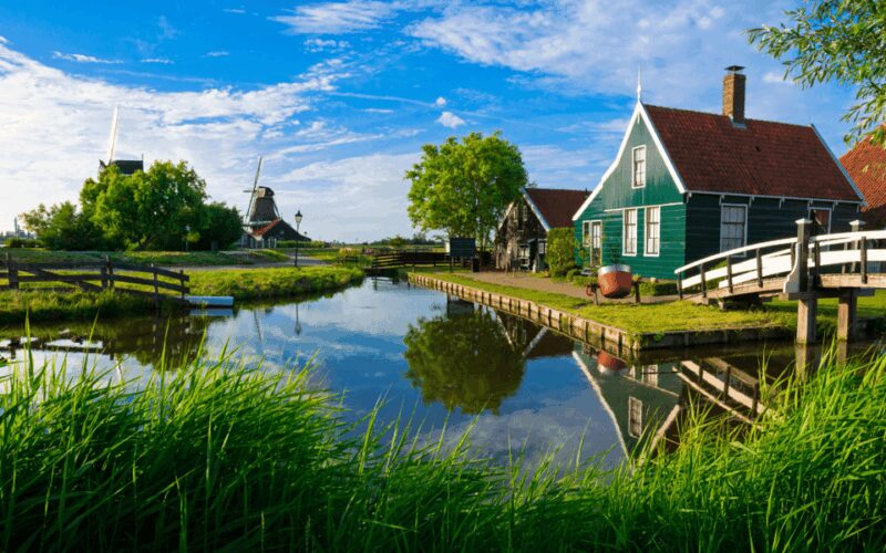Amsterdam: Keukenhof and Zaanse Schans Windmills Day Trip - Comfort and Facilities on the Coach