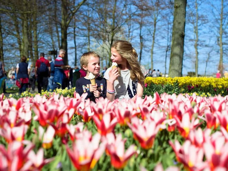 Amsterdam: Keukenhof Entry & Shuttlebus with Flexible Return - Key Points