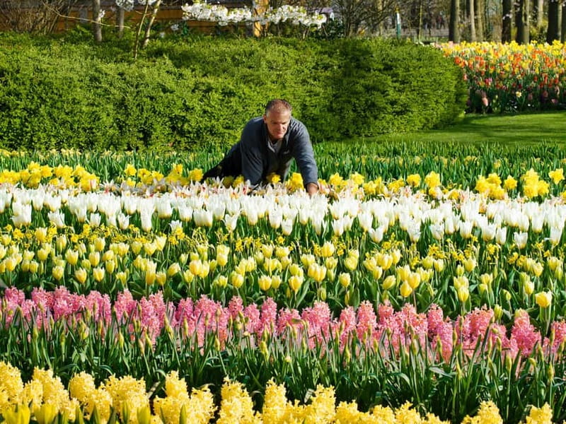 Amsterdam: Keukenhof Entry & Shuttlebus with Flexible Return - Explore Keukenhof Gardens at Your Own Pace