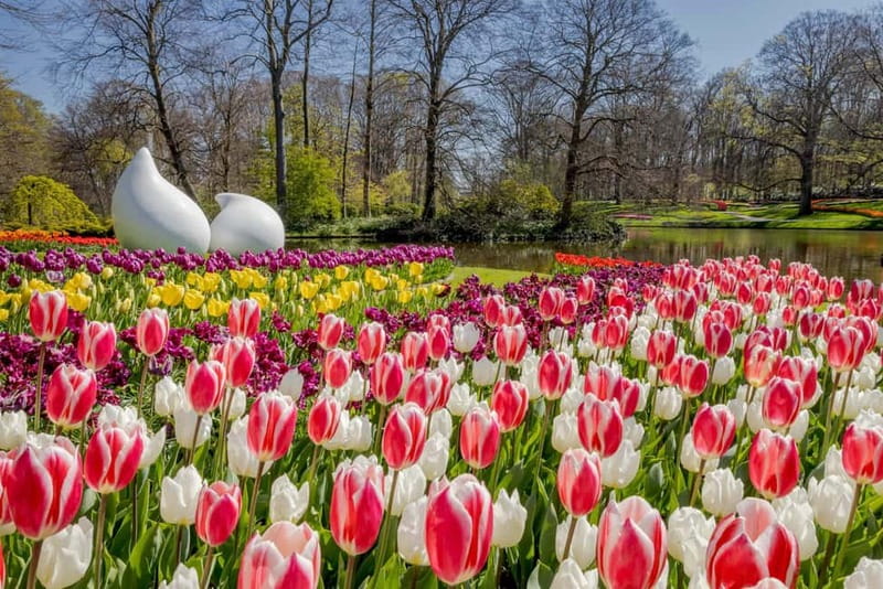 Amsterdam: Keukenhof Entry & Shuttlebus with Flexible Return - Overall Value and Who Will Appreciate This Tour