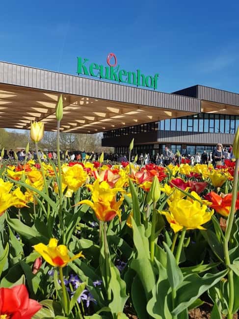 Amsterdam: Keukenhof & FlowerFarm Tour Including Tickets - Keukenhof Gardens: A Blooming Wonder in Spring