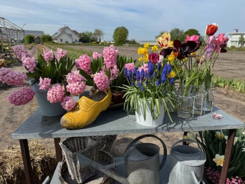 Amsterdam: Keukenhof & FlowerFarm Tour Including Tickets - The Logistics of the 6-Hour Keukenhof & FlowerFarm Tour