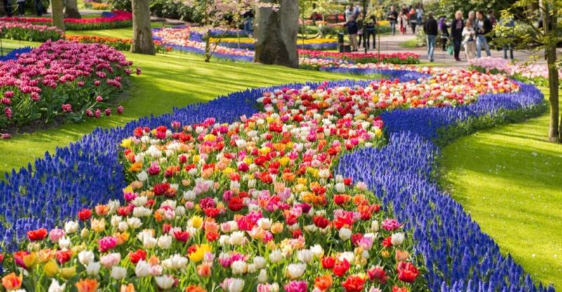 Amsterdam: Keukenhof Gardens Guided Tour Spanish and English - The Opportunity to Purchase Seeds and Bulbs