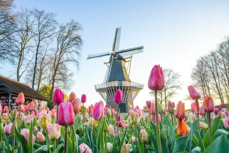 Amsterdam: Keukenhof Guided Tour and Flower Parade April 18 - Discover the Iconic Keukenhof Gardens with a Professional Guide
